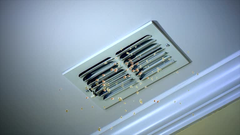 Best Affordable HVAC Duct Cleaning  in Kosciusko, MS